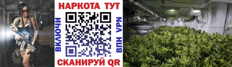 Наркотические вещества Грайворон A PVP МЕФ ГАШ