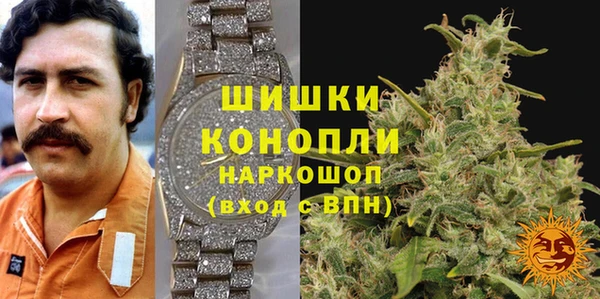 ешки Новодвинск