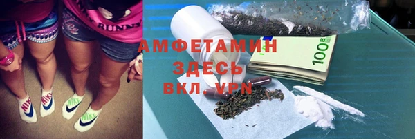 ешки Новодвинск