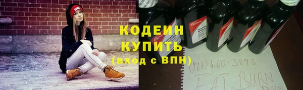 гашик Няндома