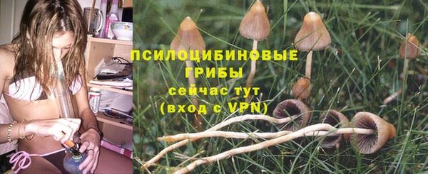 шишки Новокубанск