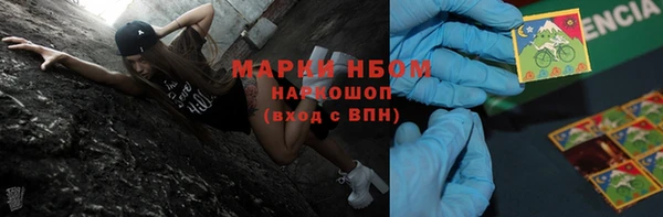 шишки Новокубанск