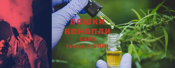 шишки Новокубанск