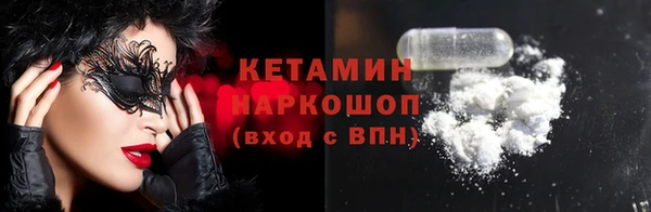 гашик Няндома