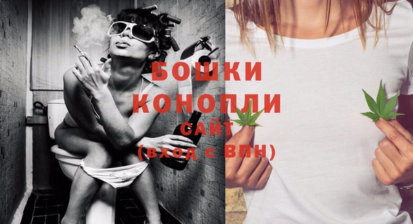 apvp Новозыбков