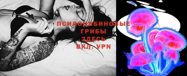 гашик Няндома