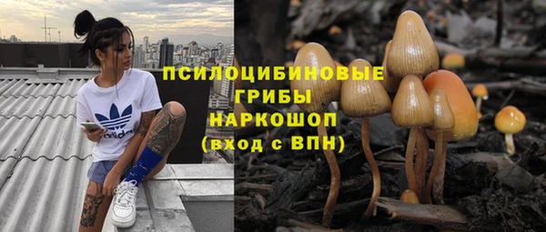 ешки Новодвинск