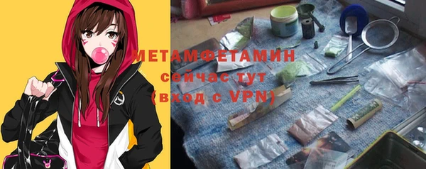 гашик Няндома