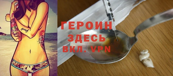 гашик Няндома